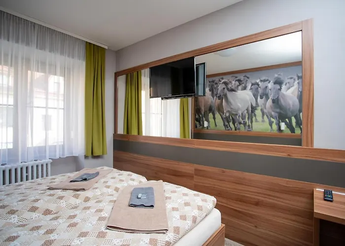 Hotell U Kone 3*